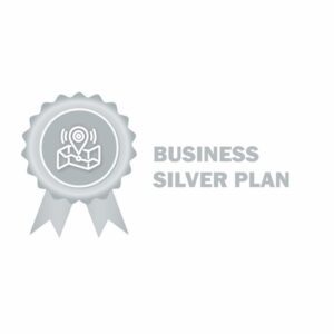 Business Silver Video Surveillance Plan