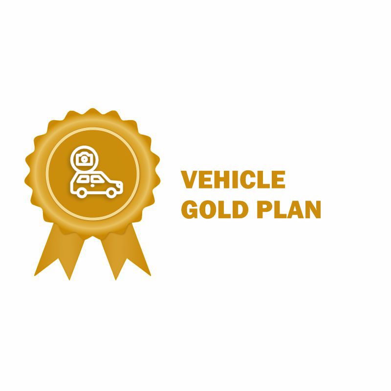 Vehicle video surveillance 03