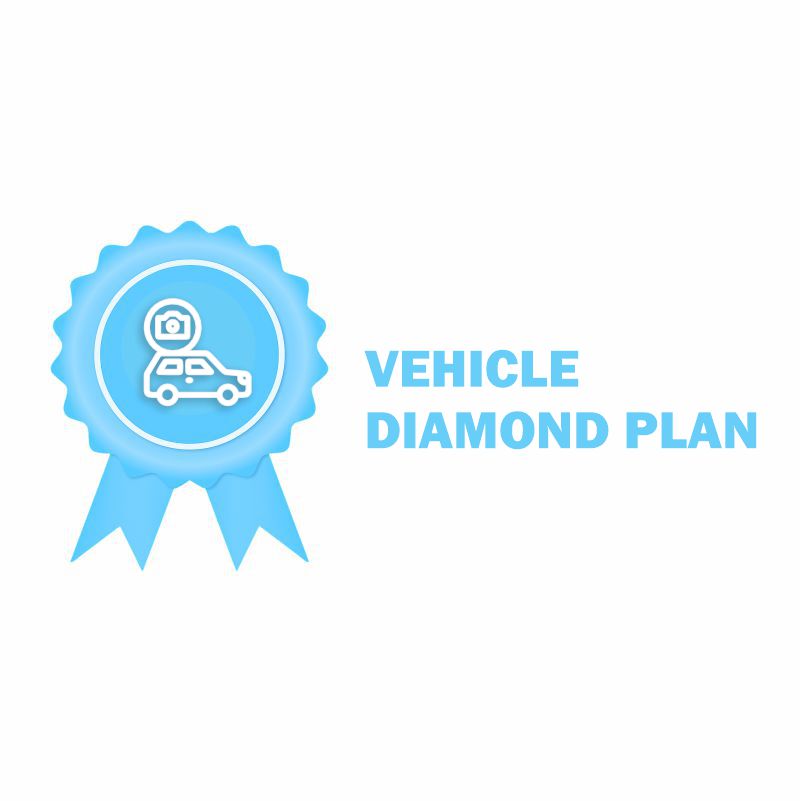 Vehicle video surveillance 04