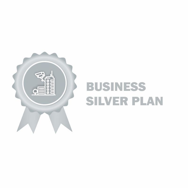 Video Surveillance Business Plans 02