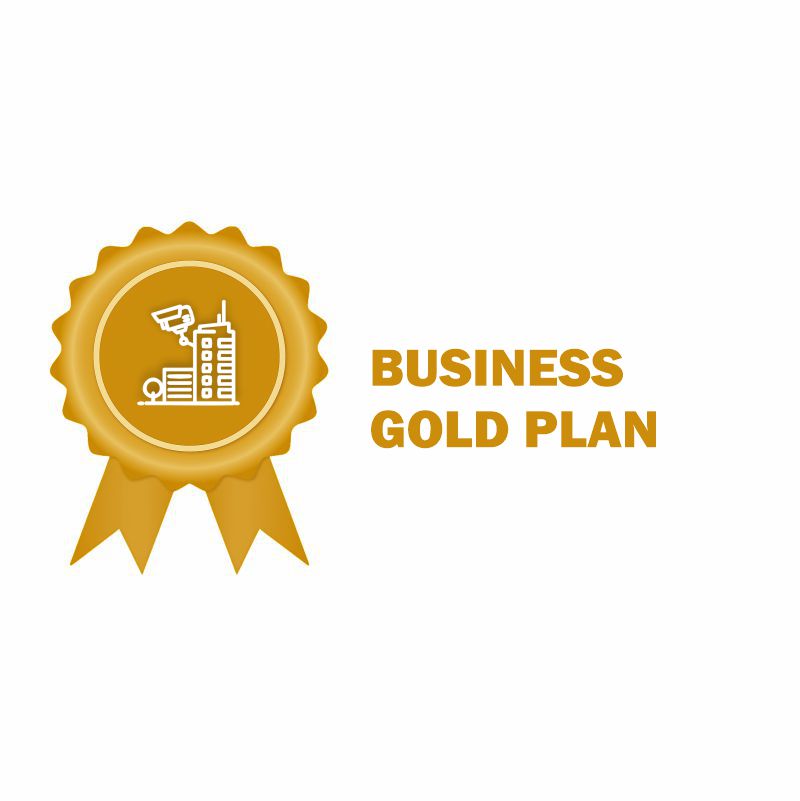 Video Surveillance Business Plans 03