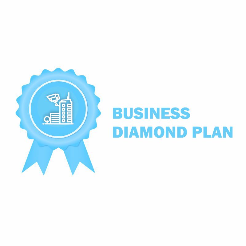 Video Surveillance Business Plans 04